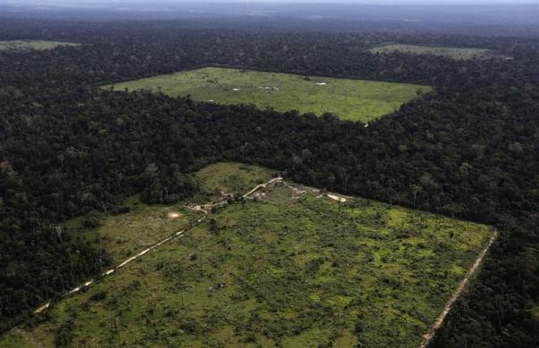 File photo of an aerial view of a tract of Amazon rainforest which has been cleared near Santarem