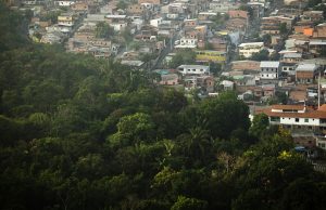 A forest area is seen next a neighborhood near the Sauim Castanheira Wildlife Refuge in Manaus