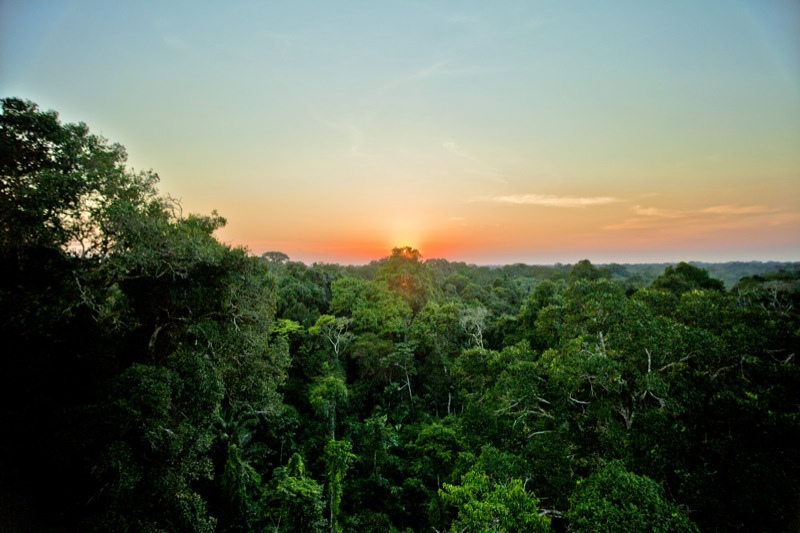 Amazon_Sunset