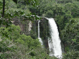 Cachoeira na Floresta Amazonica, no Parque Estadual Sucunduri