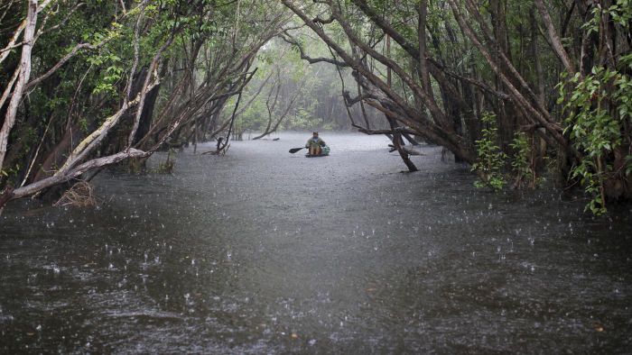El calentamiento global está haciendo que en la Amazonía llueva muchísimo  más | InfoAmazonia