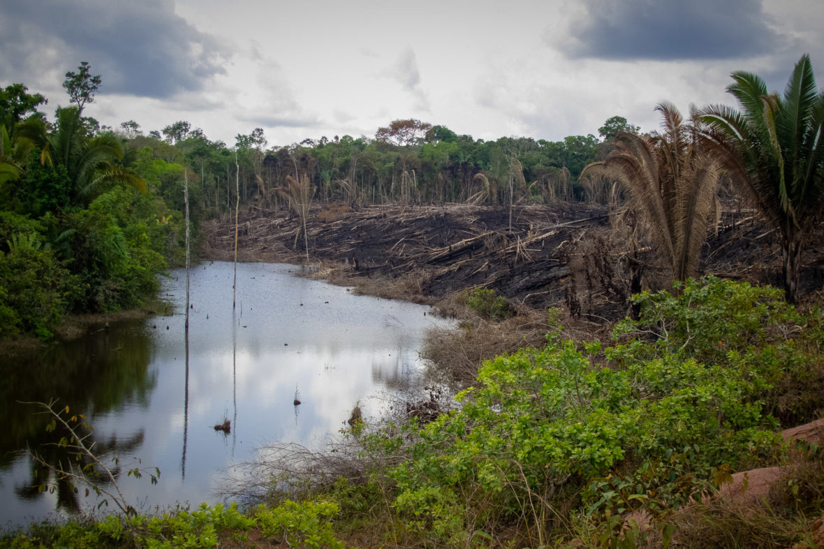 Amazônia: Desmatamento tem segunda maior cifra da série, diz Inpe