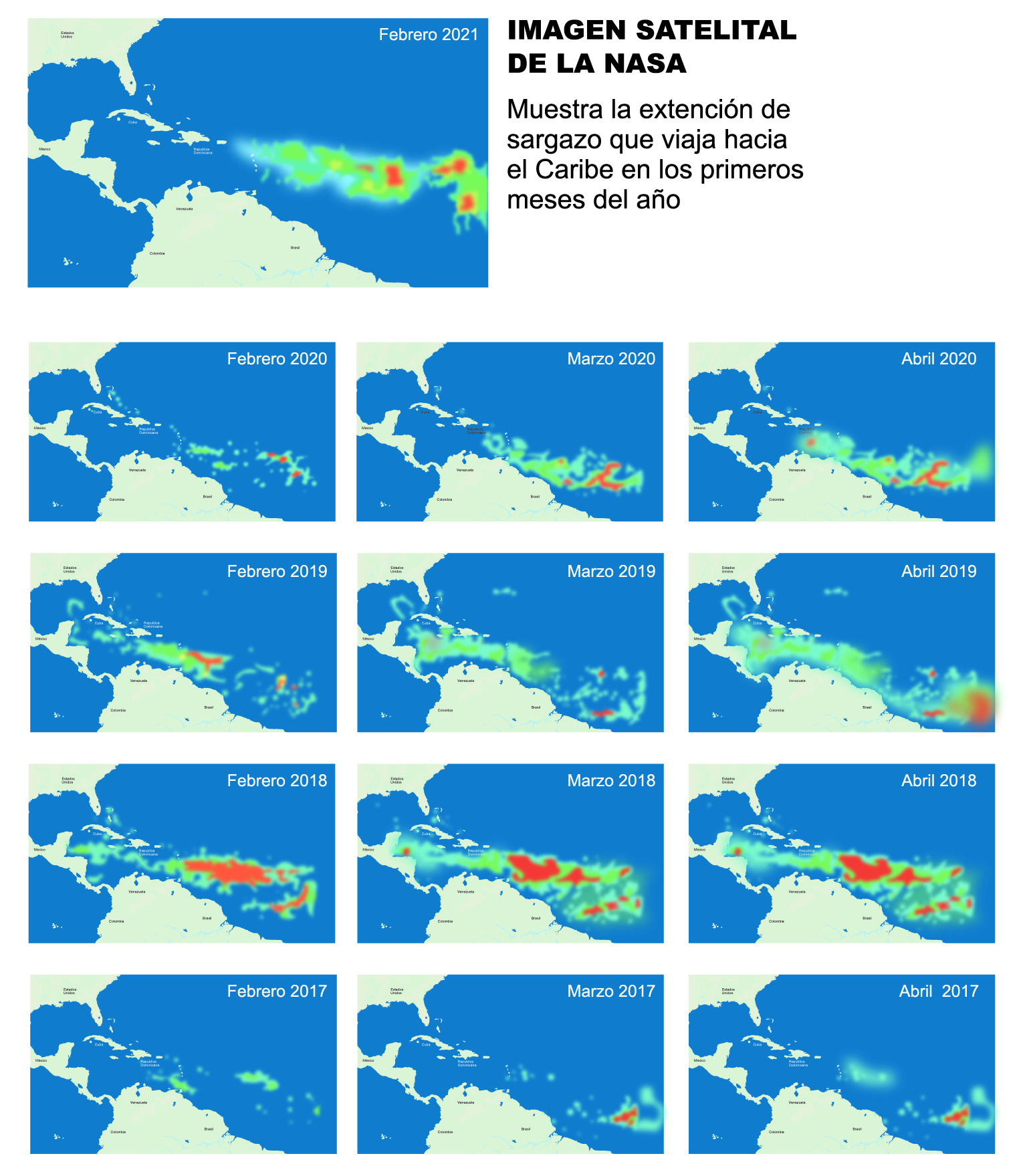 La marea de sargazo amenaza al mar Caribe InfoAmazonia