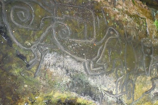 Arte rupestre Florencia Caquetá