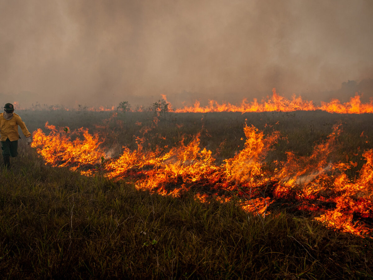 Incendios en Colombia: en febrero vienen días muy difíciles para la Amazonia