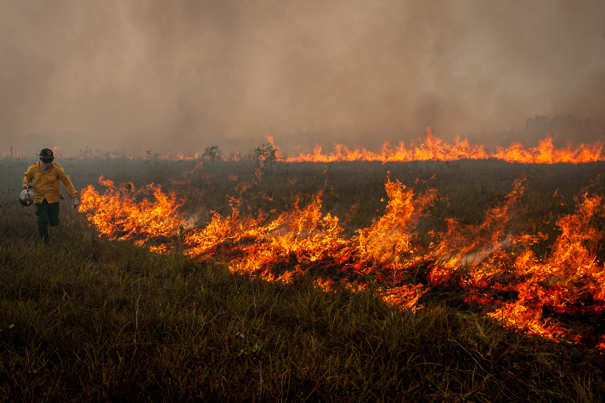 90% dos focos de incêndio estão na Amazônia e no Cerrado, aponta  levantamento - Mídia NINJA
