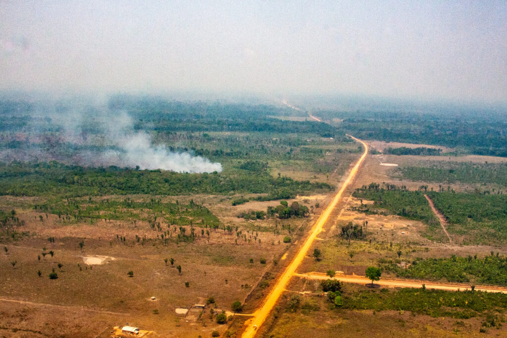 Ramais ligados à BR-319 levam fogo a áreas protegidas no as; estado  tem recorde de queimadas em setembro - Infoia