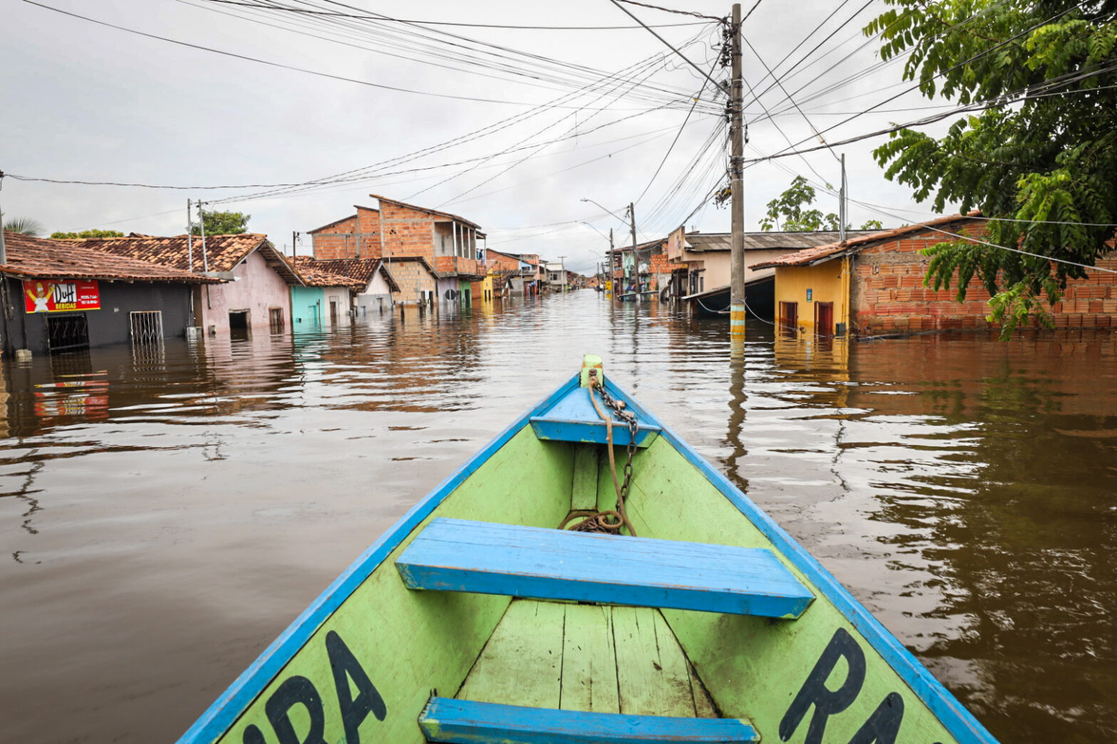 El Niño pode potencializar fogo na Amazônia, alertam cientistas - Amazônia  Real