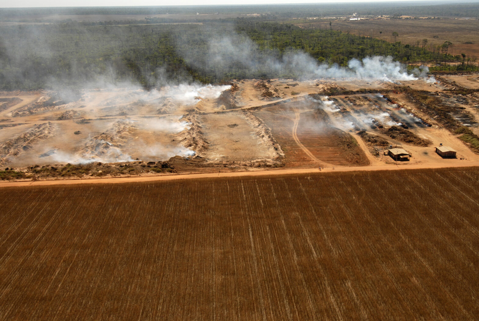 Brasil terá laboratório do desmatamento zero, o 'Lab DeZ', diz André Lima,  do MMA - Infoia