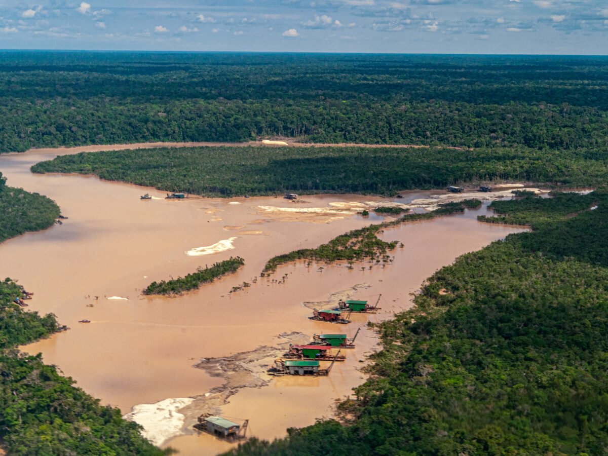 Operação internacional contra crimes ambientais na Amazônia deixa centenas de presos