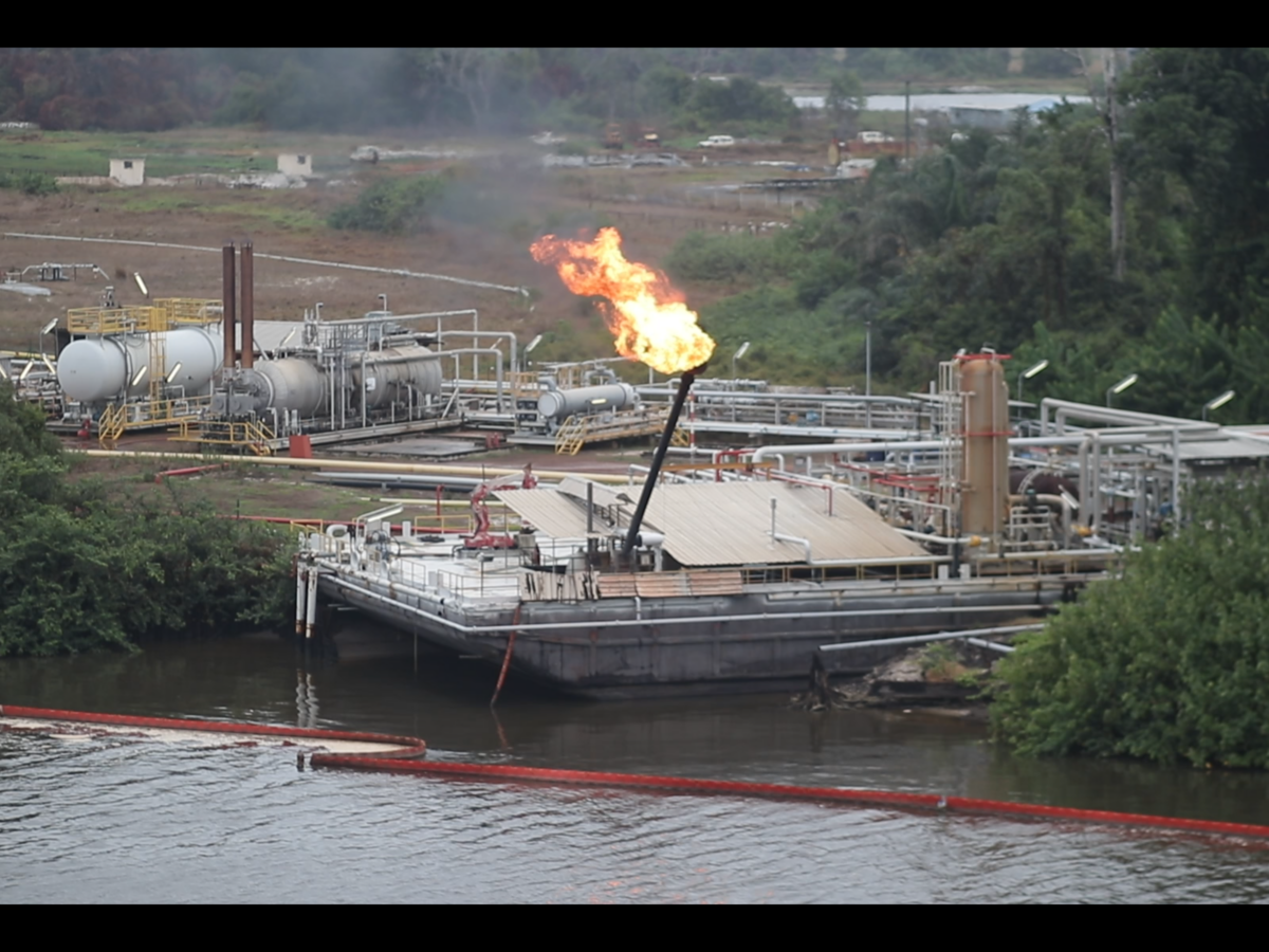 Concessões de petróleo em áreas protegidas: o sistema global de abusos da Perenco