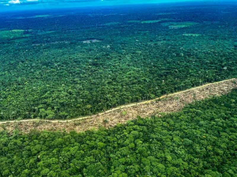 Vía ilegal que atraviesa resguardo en la Amazonia no ha sido inhabilitada