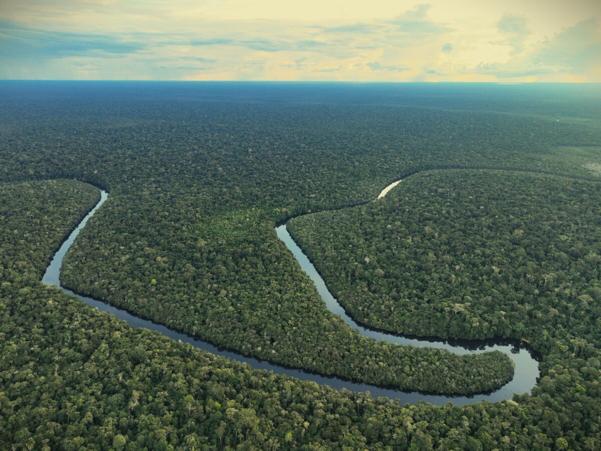 Nueve tierras indígenas, incluidas las de comunidades aisladas, se ven afectadas por un proyecto hidroeléctrico en la provincia de Rondônia, Brasil