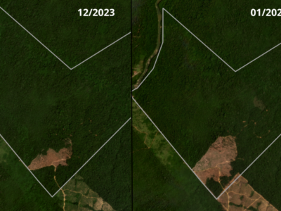 Fazendas com licença temporária de uso do fogo queimaram florestas ilegalmente em Roraima