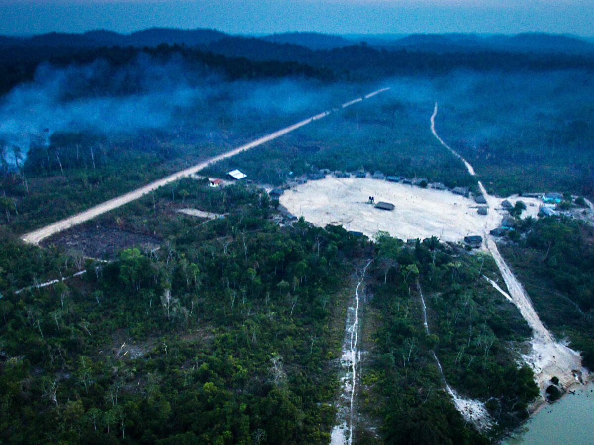 Caubóis do carbono: o jogo arriscado de Mister Greene no ‘vale-tudo’ da Amazônia brasileira