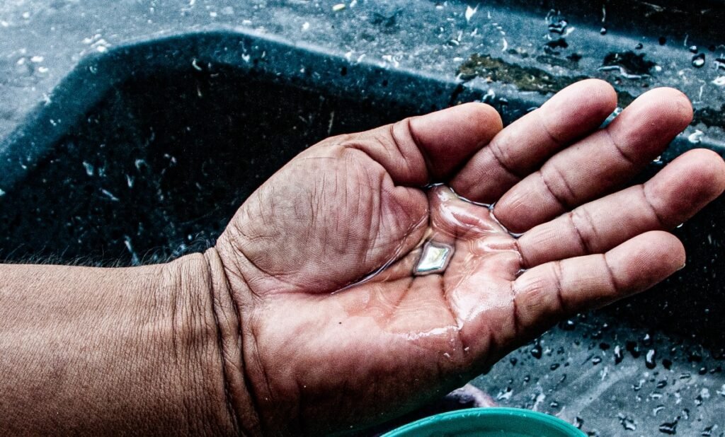 Novo instituto na Amazônia quer unificar pesquisas sobre contaminação do mercúrio e criar polos de estudo 