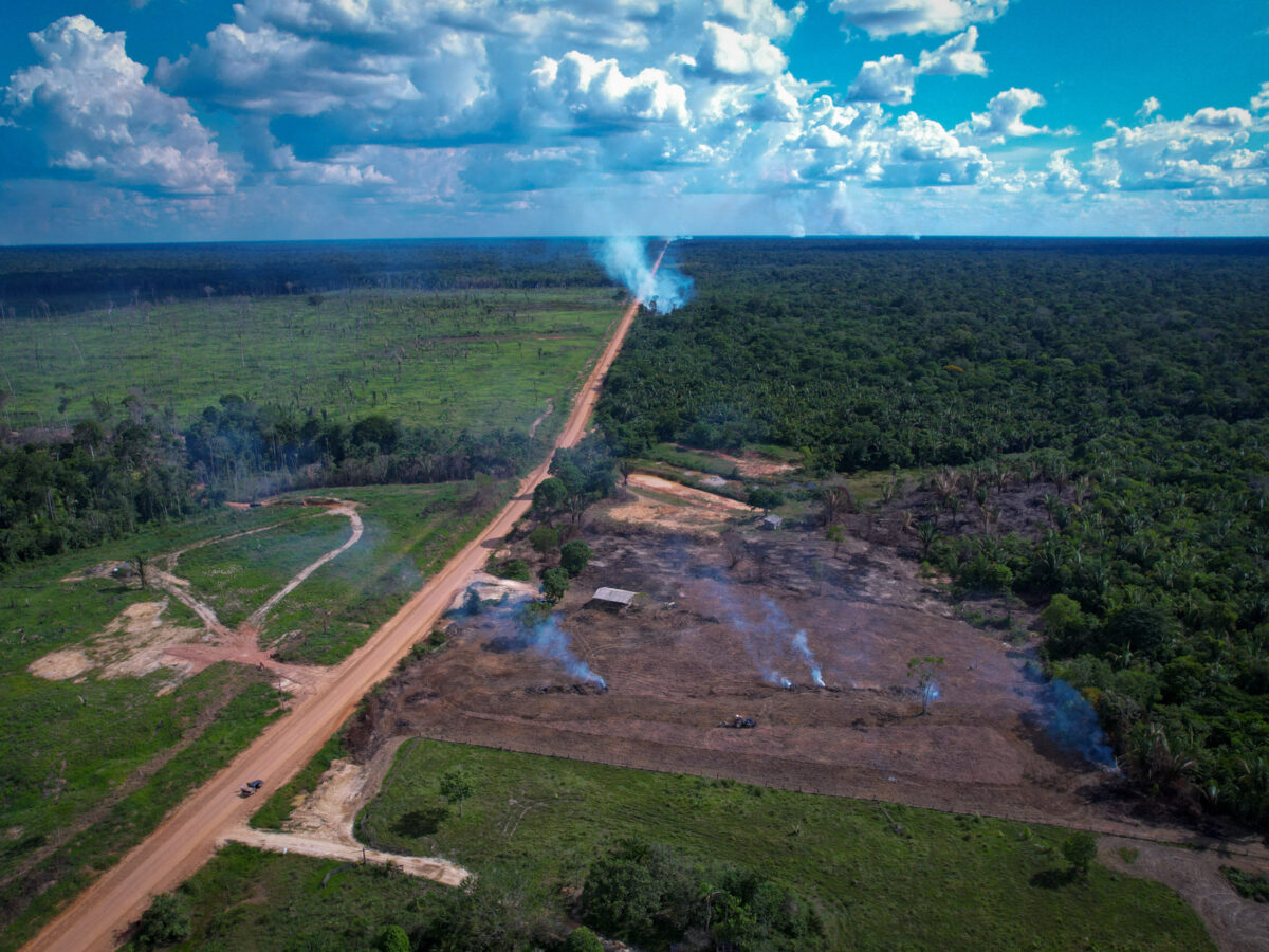 Desmatamento em florestas públicas sem destinação é principal causador de emissões de carbono ao redor da BR-319