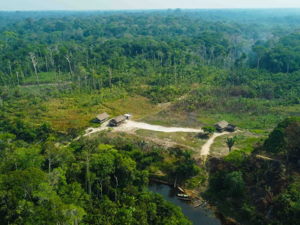 MPF pede suspensão dos projetos de crédito de carbono em territórios tradicionais no Amazonas