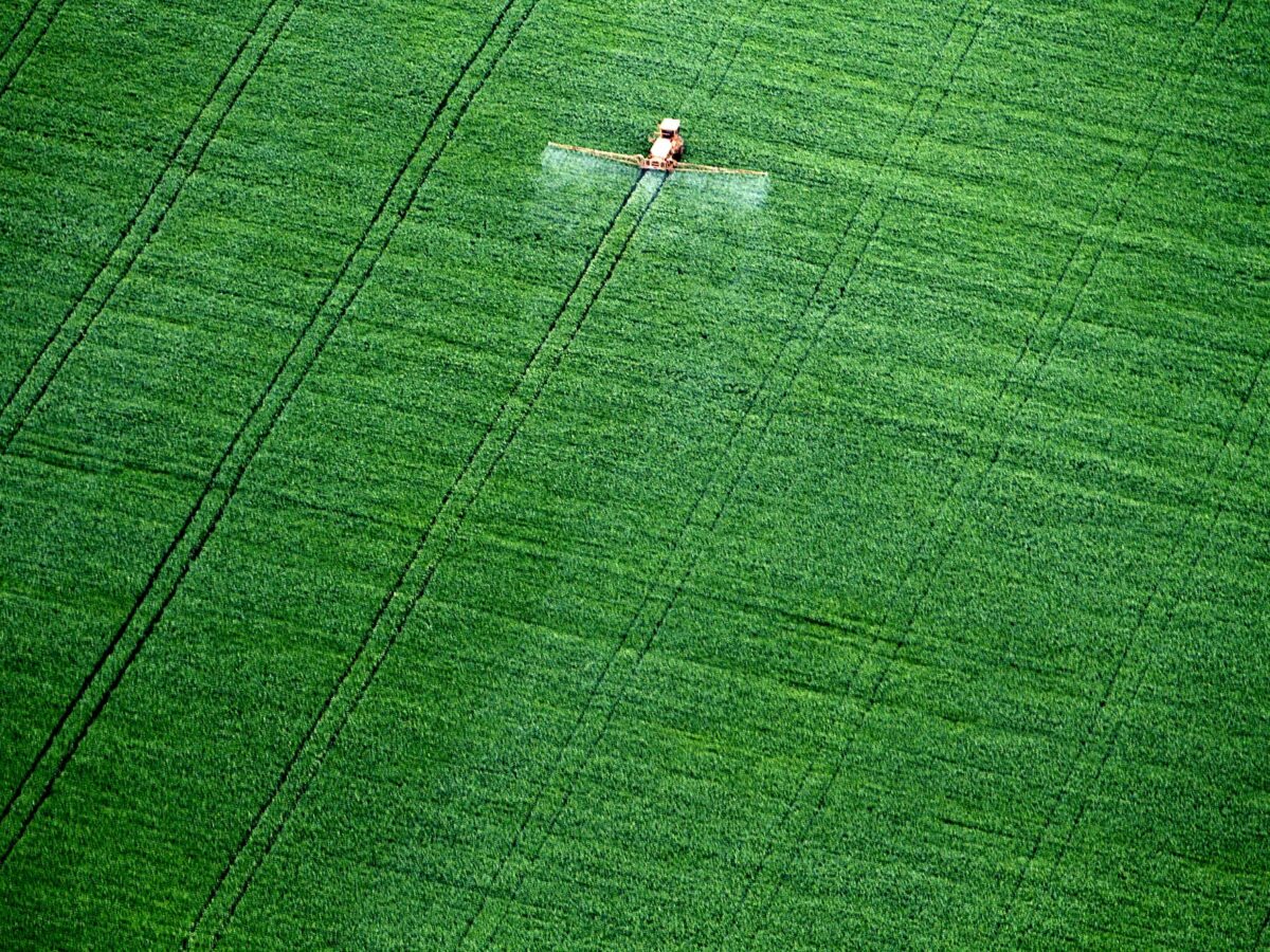 Campeão no uso de agrotóxicos, Mato Grosso tem municípios agrícolas com maior risco de mortes fetais e anomalias em bebês