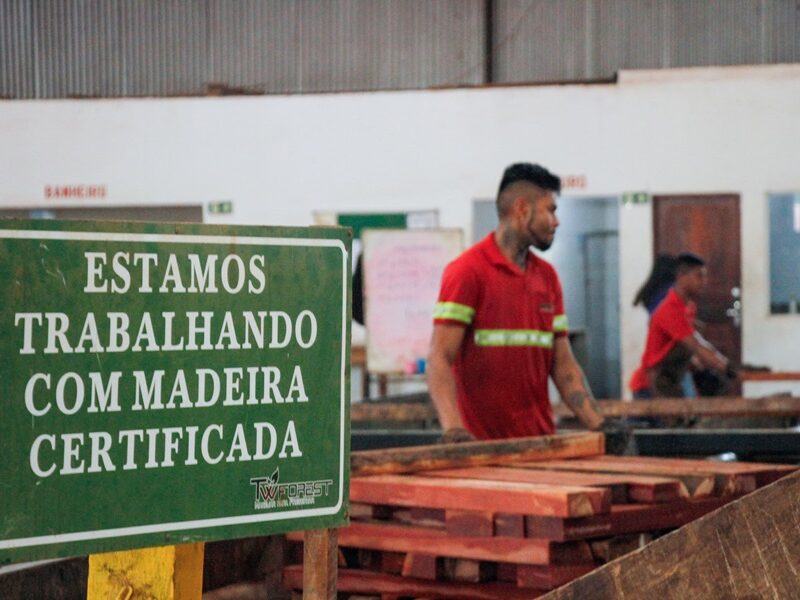 Incra volta atrás e libera projeto madeireiro com suspeitas de irregularidades em assentamento no Amapá