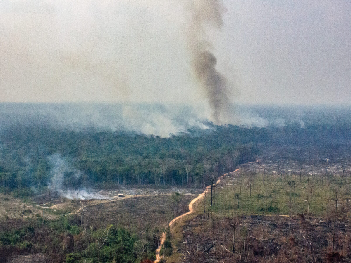 Fazendas com queimadas ilegais na Amazônia receberam R$2,6 bilhões em crédito rural