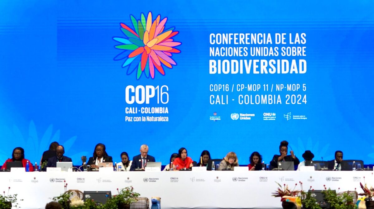 Imagen de la plenaria de las discusiones del 30 de octubre en la COP16.