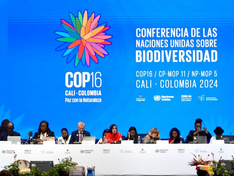 Imagen de la plenaria de las discusiones del 30 de octubre en la COP16.