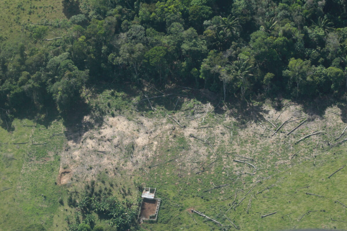 Deforestación en áreas protegidas de la Amazonia colombiana.