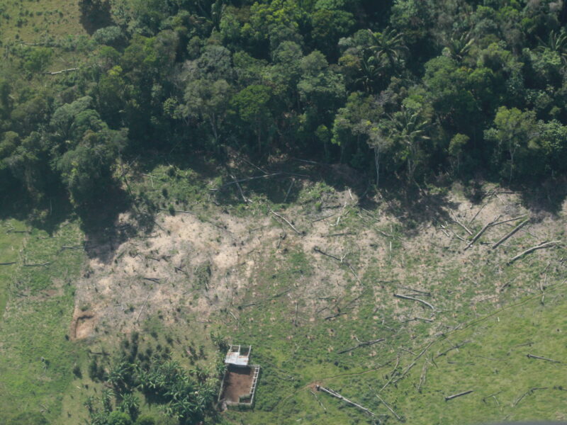 Deforestación en áreas protegidas de la Amazonia colombiana.