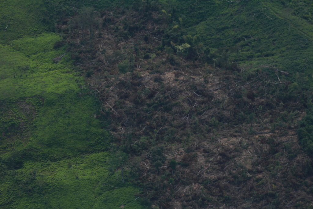 Parche de deforestación en el Parque Nacional Natural Sierra de la Macarena.