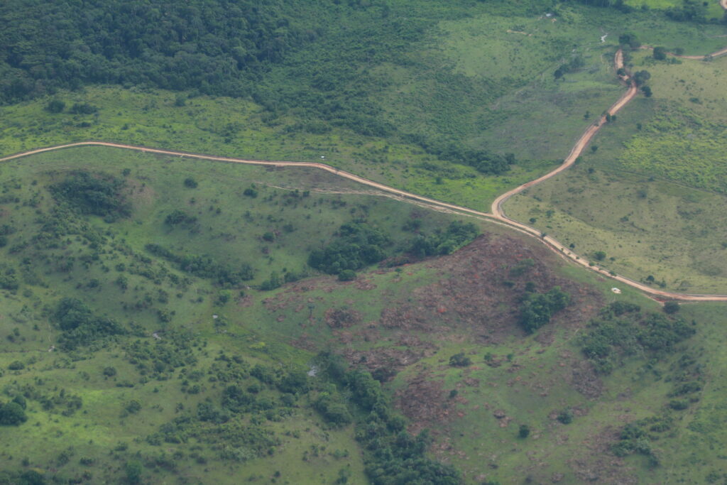 Carretera ilegal en área protegida de la Serranía la Macarena con distintos puntos de acceso.