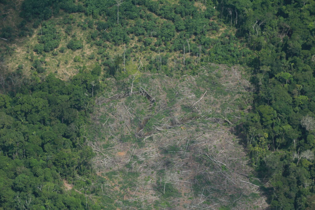 Parche de deforestación en el PNN Tinigua, donde solo queda el 30% del bosque natural, de acuerdo con la FCDS.