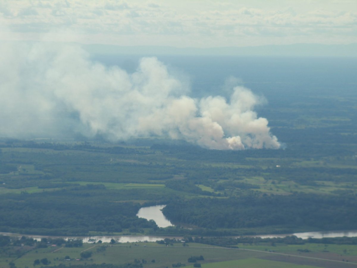 O que a Amazônia espera com a chegada do El Niño