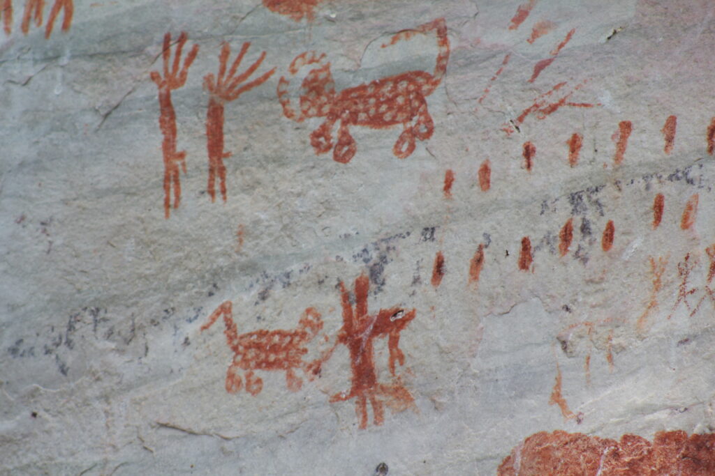 Figuras de animales con manchas en las pinturas rupestres de Cerro Azul. Los guaviarenses creen que se trata de una representación del jaguar.