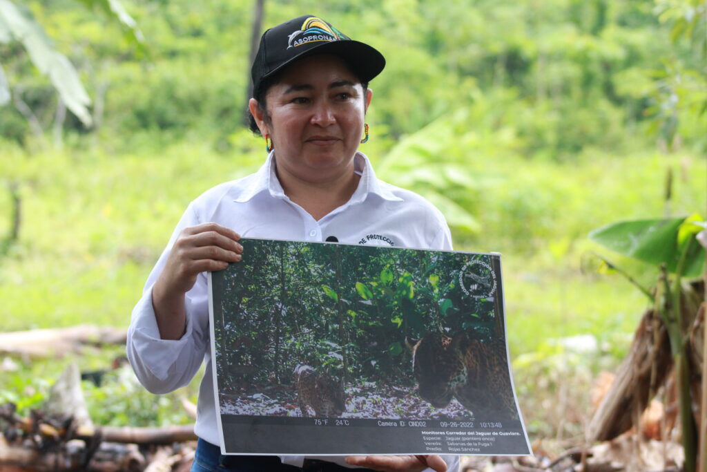 Claudia Cocuy, coordinadora de la Escuela de Promotoría Campesina, sosteniendo una imagen tomada con una de las cámaras trampa instaladas en el corredor del jaguar.