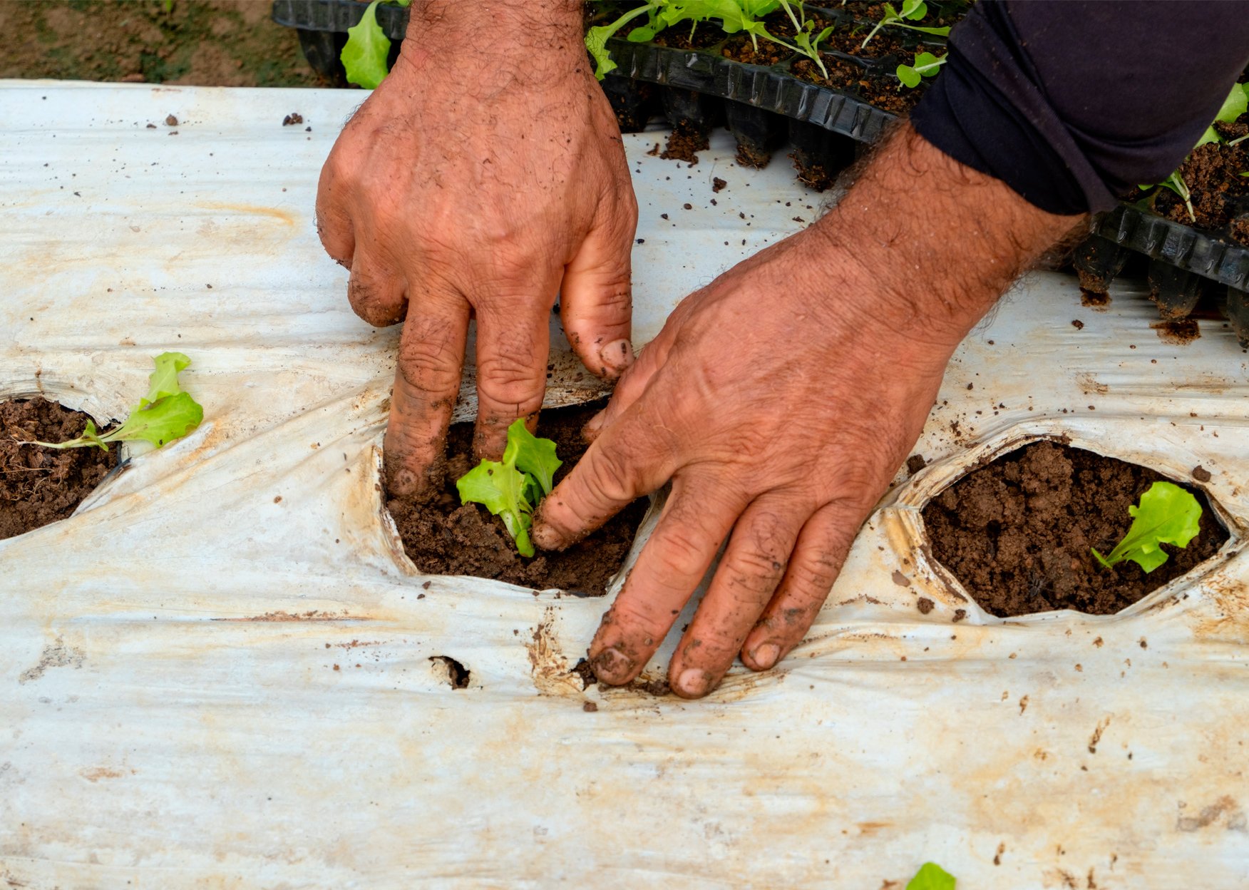 Wanderley Montanholi (@wmontanholi) • Facebook, image size:1752x1248