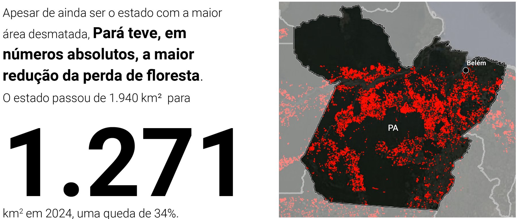 Prodes 2024: AMACRO tem queda de 38% e RR é único estado com alta na taxa