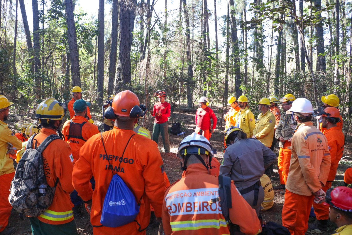 USAID cortes Amazônia