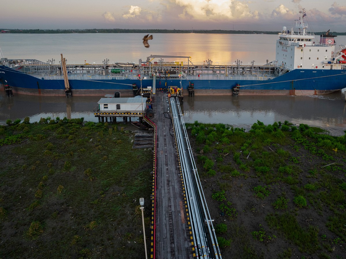 Organizações pedem que a Amazônia seja declarada zona mundial de exclusão de combustíveis fósseis