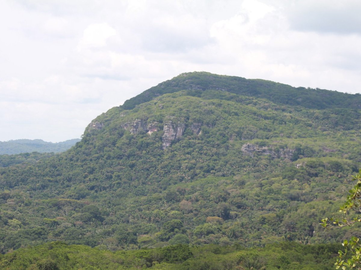‘Das palavras à ação’: o que se espera da Cúpula da Amazônia em Bogotá