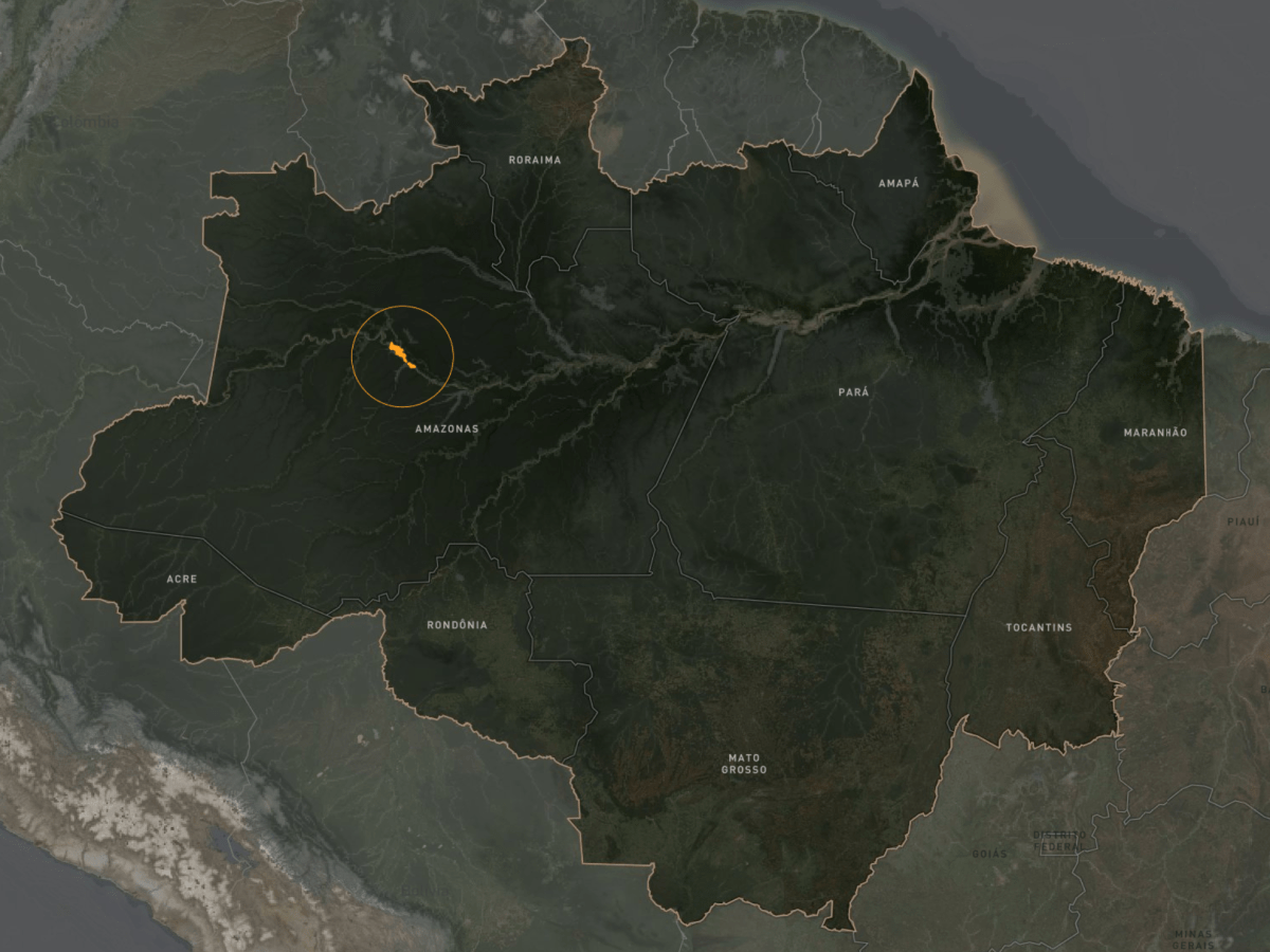 Macaco-de-cheiro-da-cabeça-preta pode ser extinto com colapso climático
