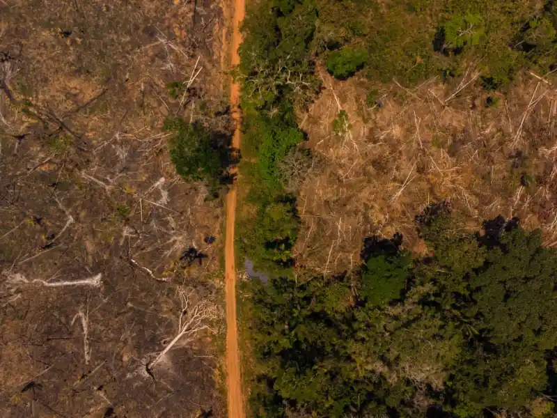 Com 17% do território desmatado, Acre pode se tornar o primeiro estado da Amazônia Legal a alcançar o ponto de não-retorno