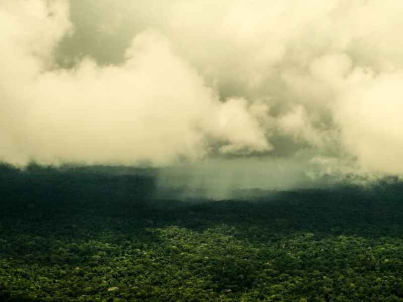 Sem transparência, Acre troca princípios socioambientais por vantagem financeira em projeto de carbono