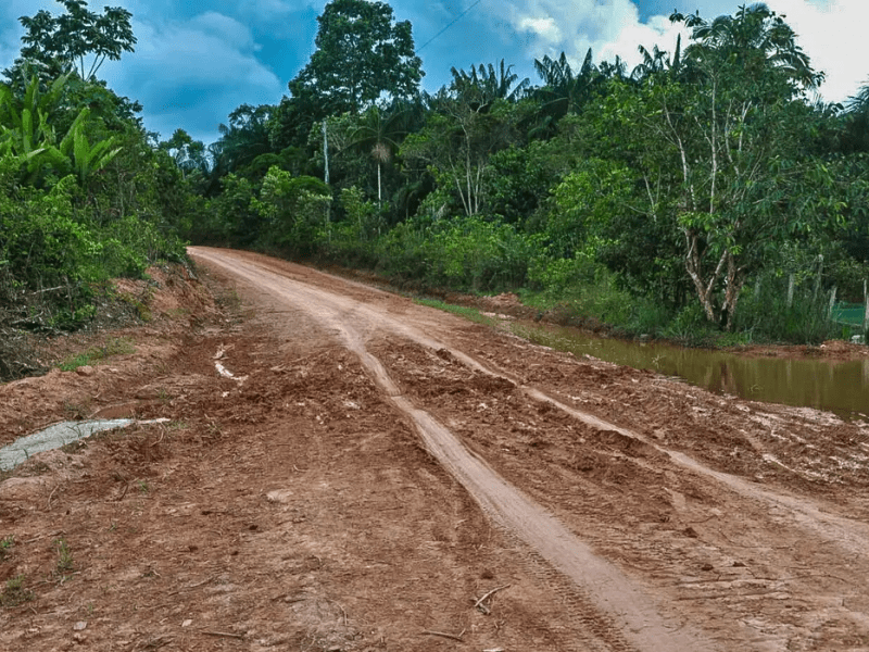 Pavimentação da BR-319 pode gerar inundações, afirma geólogo da UFAM