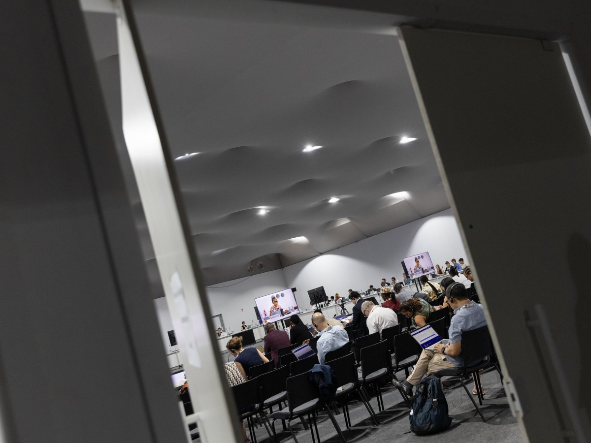 COP30 Daily: What’s Happening in the Final Days of Climate Negotiation