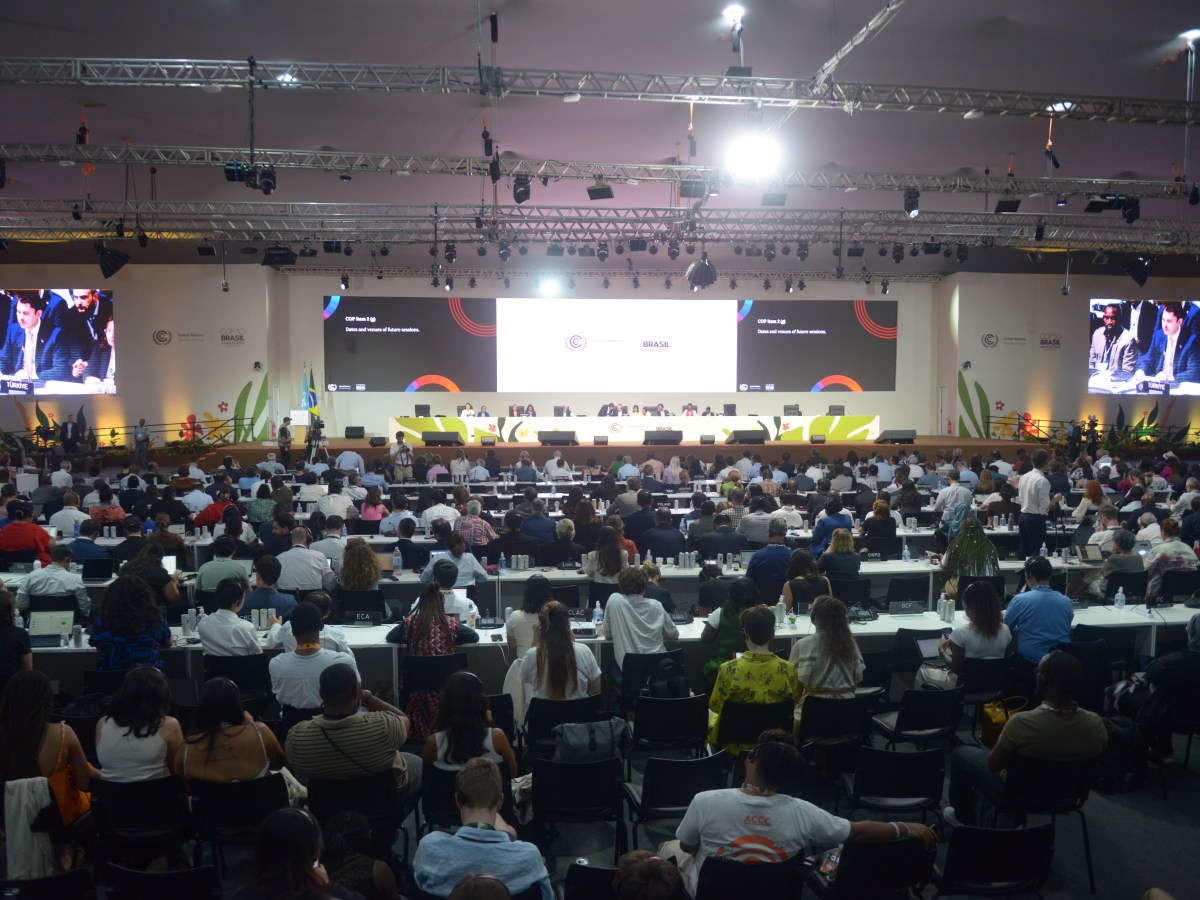 In a historic achievement, Afro-Descendants and Indigenous Peoples’ prior consultation are included for the first time in the UN Climate Conference