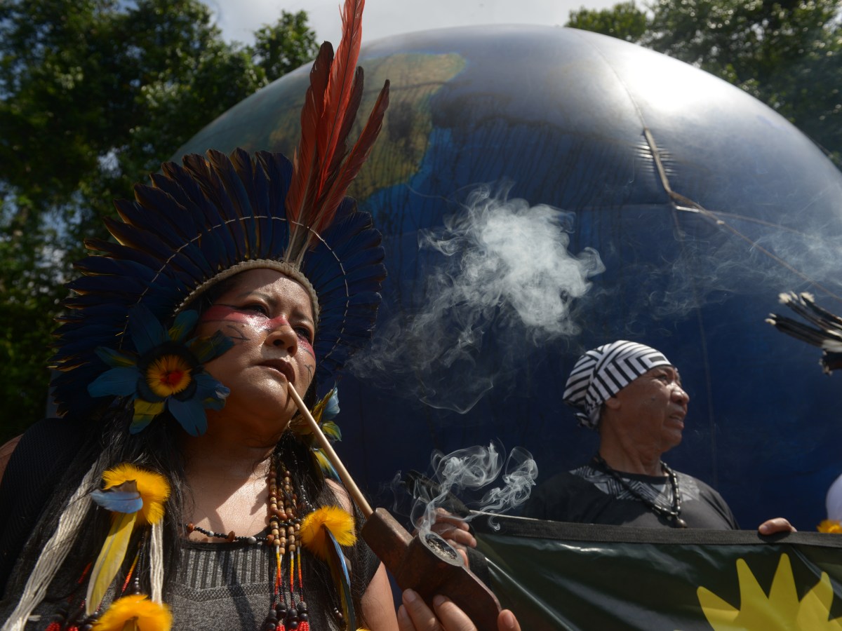 False Climate Solutions Advance in the Amazon as COP30 Discusses the Planet’s Future
