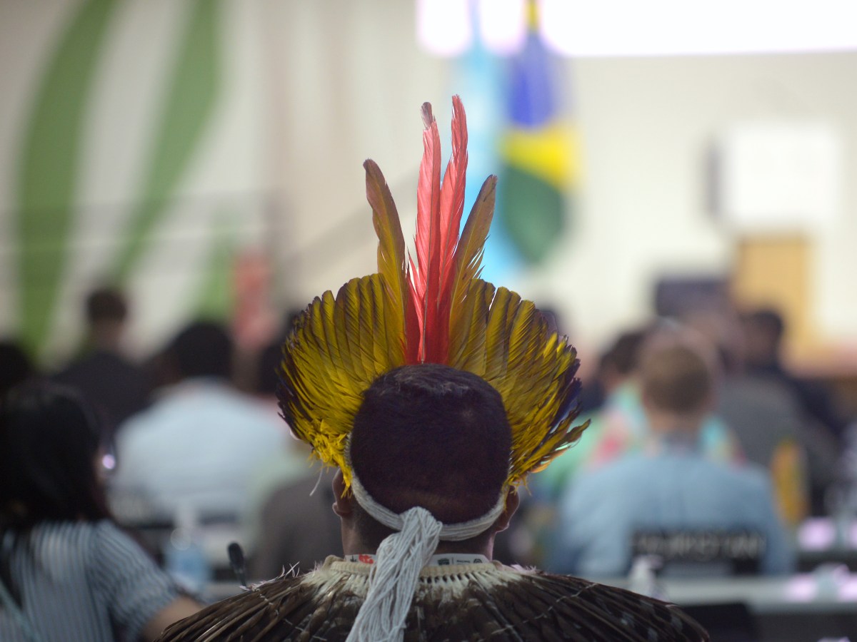 Mesmo com presença recorde, apenas 14% dos indígenas brasileiros devem acessar espaço de decisão na COP30