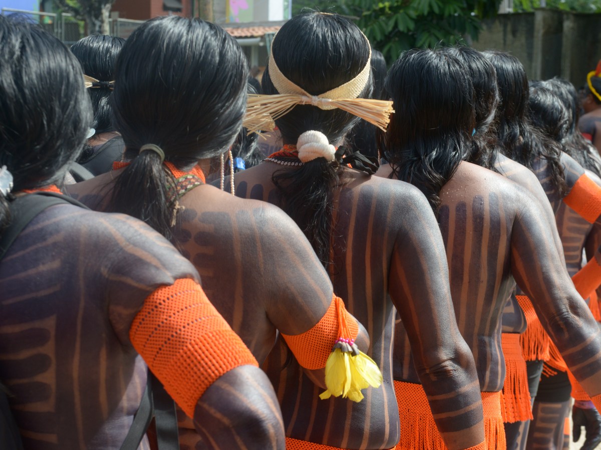 Governo e ONGs garantem US$ 120 mi para UCs com povos tradicionais na Amazônia