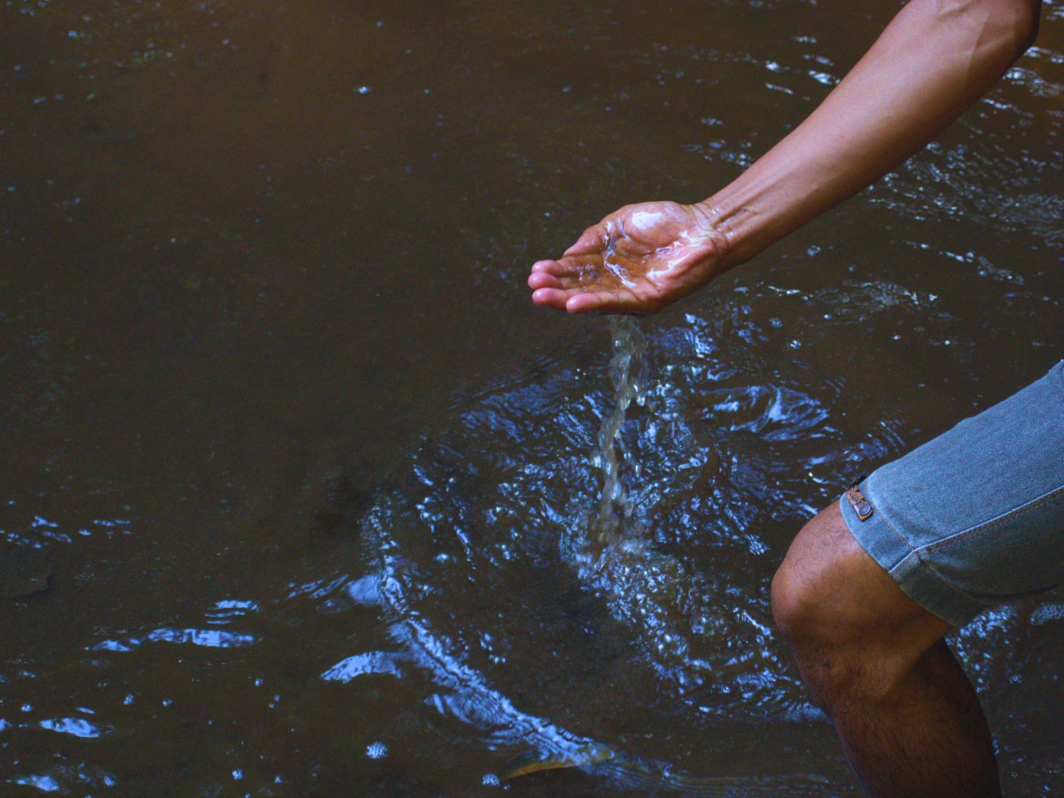 Intoxicações por agrotóxicos crescem 545% em área de soja e milho no Pará